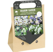 Set mit 40 Blumenzwiebeln für den Schattengarten in einer Tragetüte aus Papier für die Pflanzung im Frühjahr