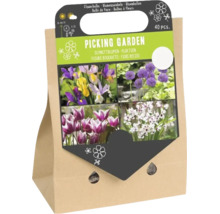 Set mit 40 Blumen zwiebeln für einen Pflückgarten in einer Papiertragetasche mit Abbildungen von Schwertlilien, Allium, Tulpen und Acidanthera.