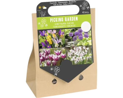 Set mit 40 Blumen zwiebeln für einen Pflückgarten in einer Papiertragetasche mit Abbildungen von Schwertlilien, Allium, Tulpen und Acidanthera.