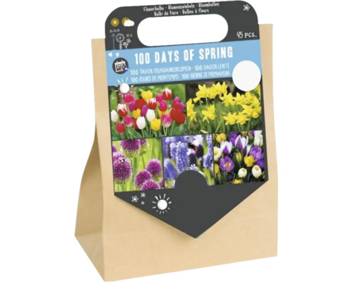 Blumenzwiebel Mischung 100 Days of Spring 45 Stück im Papiertragebeutel