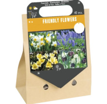 Eine Packung mit 40 Blumenzwiebeln der Mischung Friendly Flowers für verschiedene Frühlingsblüher in einer Papiertragetasche mit Tragegriff.