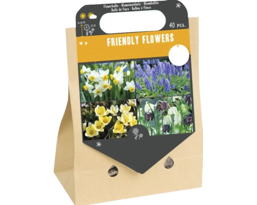 Eine Packung mit 40 Blumenzwiebeln der Mischung Friendly Flowers für verschiedene Frühlingsblüher in einer Papiertragetasche mit Tragegriff.
