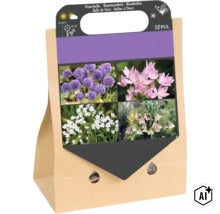 Set mit 50 Blumenzwiebeln für verschiedene Laucharten in einer Papiertüte mit praktischem Tragegriff und bebilderten Sorteninformationen. (Image AI modified or generated)