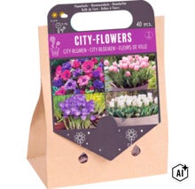 Kit de 40 bulbes à fleurs City Flowers pour pots et jardinières dans un sac en papier (Image AI modified or generated)