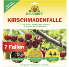 Piège à mouches de la cerise Neudorff pour lutter contre les mouches de la cerise, 7 pièges, sans insecticide et adapté à l agriculture biologique.