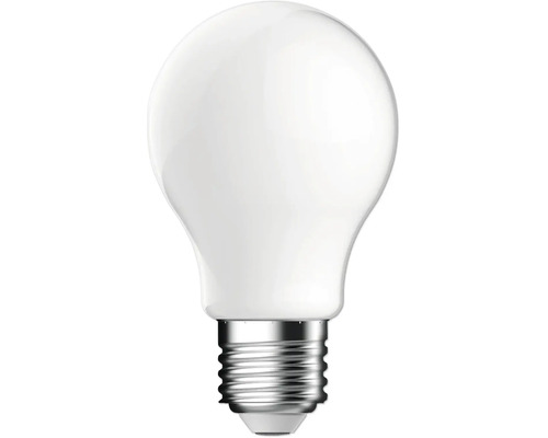 Ampoule LED en forme d ampoule classique avec culot E27