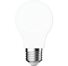 Ampoule LED forme poire classique avec culot E27