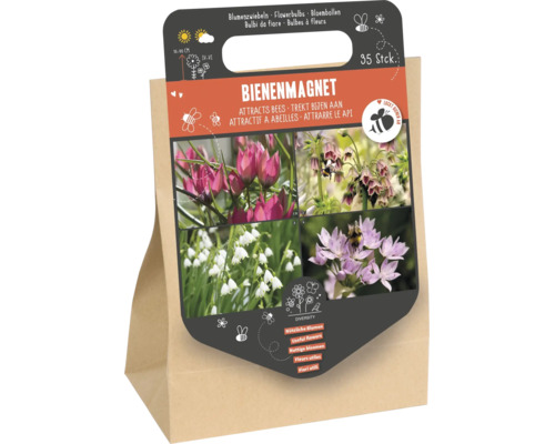 Set mit 35 Blumenzwiebeln als Bienenmagnet zur Förderung der Artenvielfalt im Garten.