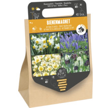 Set mit 40 Blumen zwiebeln als Bienenmagnet zur Förderung der Artenvielfalt im Garten