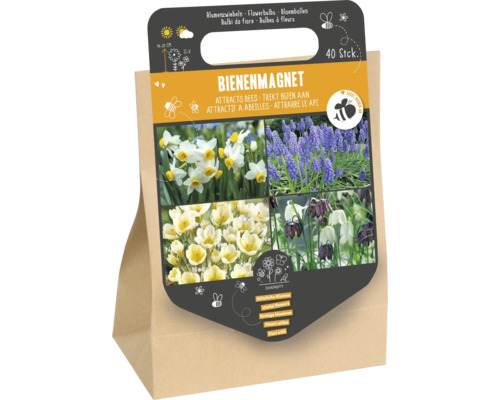 Set mit 40 Blumen zwiebeln als Bienenmagnet zur Förderung der Artenvielfalt im Garten