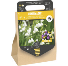 Packung mit 25 Blumenzwiebeln als Bienenmagnet mit Maiglöckchen und Krokus Mischung