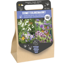 40 Stück Blumenzwiebeln als Schmetterlingsmagnet zur Anlockung von Schmetterlingen, Packung mit Pflanzhinweisen.