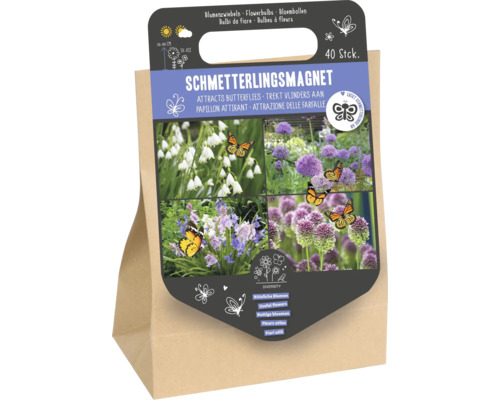 40 Stück Blumenzwiebeln als Schmetterlingsmagnet zur Anlockung von Schmetterlingen, Packung mit Pflanzhinweisen.