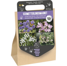 Emballage de 50 bulbes à fleurs qui attirent les papillons, comprenant quatre variétés de plantes différentes pour favoriser la biodiversité.