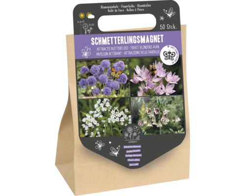 Emballage de 50 bulbes à fleurs qui attirent les papillons, comprenant quatre variétés de plantes différentes pour favoriser la biodiversité.
