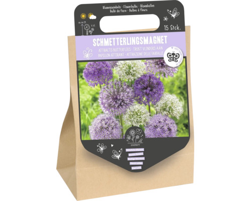 Packung mit 15 Zierlauch Blumenzwiebeln, Schmetterlingsmagnet zur Anziehung von Insekten, Wuchshöhe 80 bis 90 Zentimeter, Blütezeit Mai bis Juni.