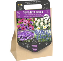 Mélange de bulbes à fleurs pour pot et patio avec 45 pièces pour abeilles et papillons
