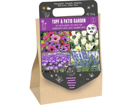 Mélange de bulbes à fleurs pour pot et patio avec 45 pièces pour abeilles et papillons