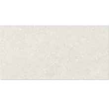 Carrelage aspect pierre naturelle avec texture pierre pour intérieur