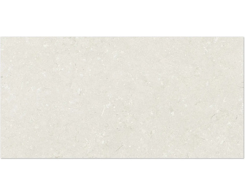 Carrelage aspect pierre naturelle avec texture pierre pour intérieur
