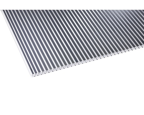 Panneau alvéolaire en polycarbonate ZEBRAPLATTE anthracite 6000 x 980 x 16 mm