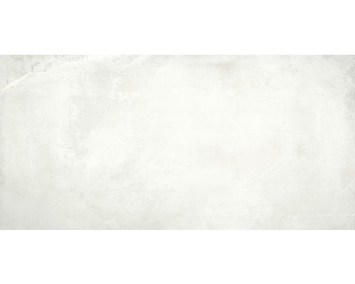 Feinsteinzeug Wand- und Bodenfliese Jasper white 60x120 cm rektifiziert