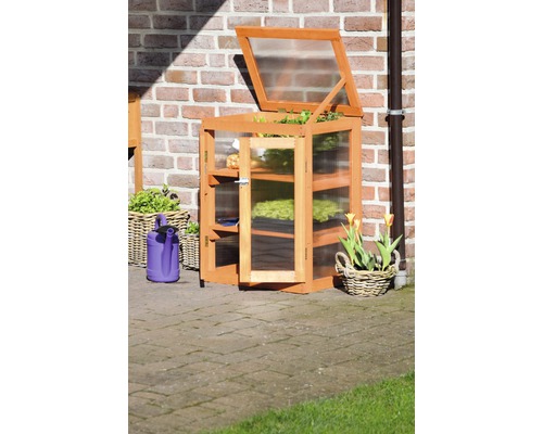Petite serre en bois avec étagères et porte ouverte, à côté d''un arrosoir et d''un panier de fleurs