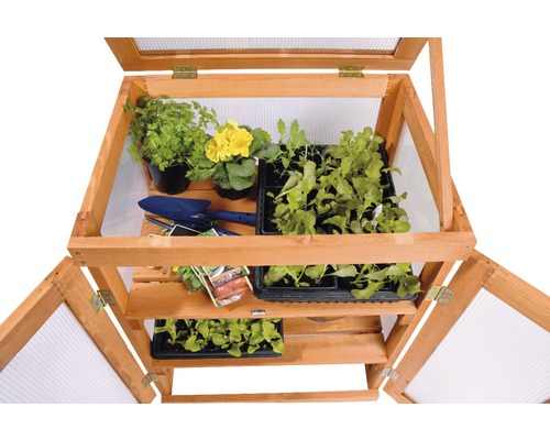 Jardinière surélevée en bois avec plantes, semis et outils de jardin