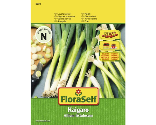 Cébette 'Kaigaro' FloraSelf semences non hybrides semences de légumes