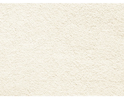 Spannteppich Shaggy Venezia sand FB30 400 cm breit (Meterware) Nahaufnahme einer Putzoberfläche
