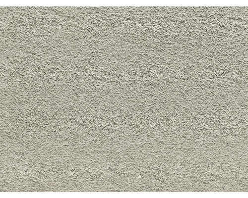 Spannteppich Shaggy Venezia beton FB972 400 cm breit (Meterware) Nahaufnahme einer Putzoberfläche