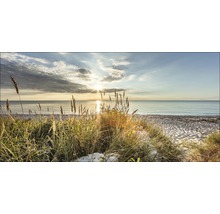 Strandlandschaft mit Gras und Meer
