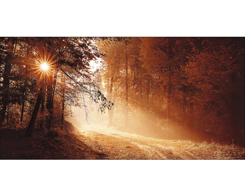 Giclée Leinwandbild Autumn Forest ll 80x160 cm