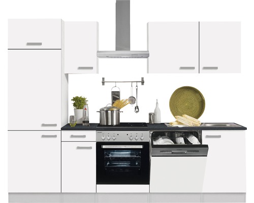 Cuisine avec lave-vaisselle, cuisinière, hotte aspirante et armoires murales dans un design clair et moderne