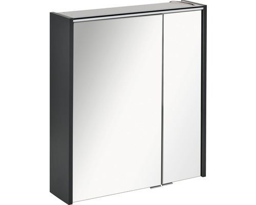 Armoire de toilette FACKELMANN Denver LED lxhxp 60x68.5x16 cm anthracite mat Armoire de toilette à deux portes pour la salle de bains