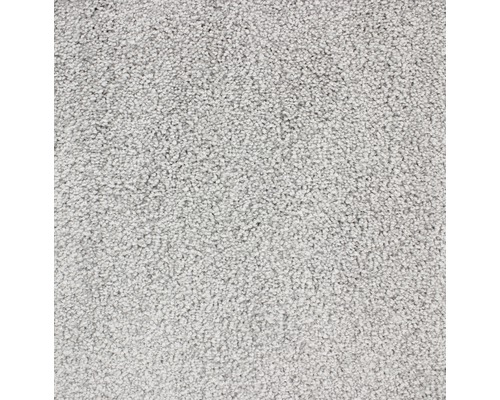 Moquette velours Charisa gris argent largeur 500 cm (au mètre) Gros plan d''un tapis clair à poils courts