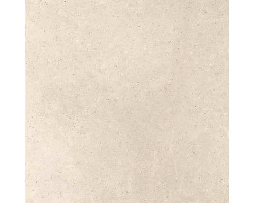 FLAIRSTONE Feinsteinzeug Terrassenplatte beige rektifizierte Kante 120 x 120 x 2 cm Beige Bodenfliese mit Steinoptik