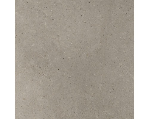 FLAIRSTONE Feinsteinzeug Terrassenplatte Grigio rektifizierte Kante 120 x 120 x 2 cm Graue Bodenfliese aus Steinzeug