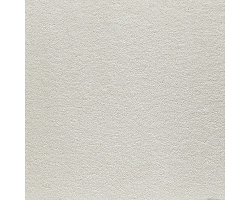 Moquette velours Sky champagne largeur 400 cm (au mètre) Gros plan d''un tapis