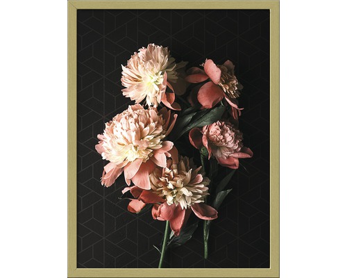 Tableau encadré Beautiful Roses II 33x43 cm