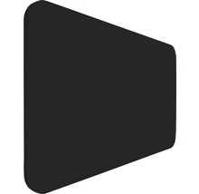 Panneau d''absorption acoustique noir pour la réduction du bruit