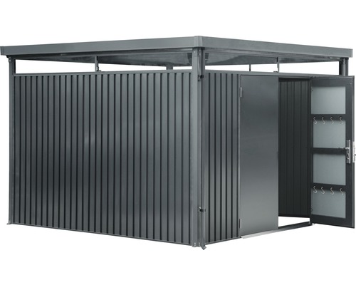 Abri de jardin avec toit plat et porte à deux battants