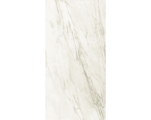 Feinsteinzeug Wand- und Bodenfliese Marmo Avorio Lux 60x120 cm Feinsteinzeug Wand- und Bodenfliese Marmo Avorio Lux 60x120 cm