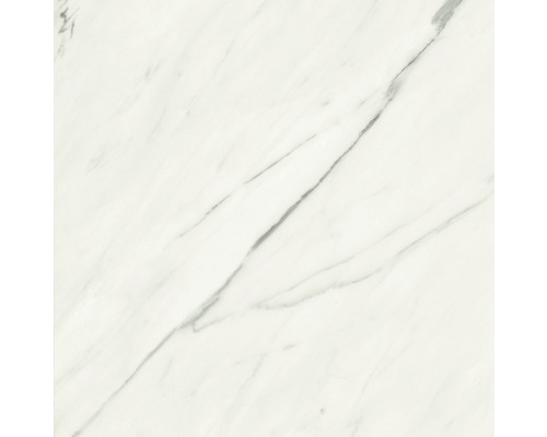 Carrelage pour sol et mur en grès cérame fin Marmo Calacatta 60x60 cm