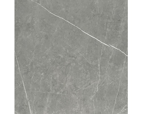Feinsteinzeug Wand- und Bodenfliese Marmo Pietra grey 60x60 cm