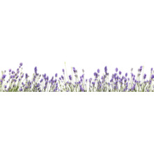 Küchenrückwand mySPOTTI splash Bildmotiv Lavendel 280x60 cm-thumb-0