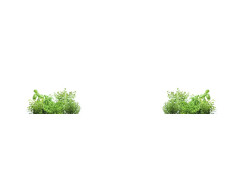 Crédence de cuisine mySpotti Splash Emil motif fines herbes 4500 x 600 mm SP-F3-1813 Diverses plantes aromatiques, dont le basilic et le persil