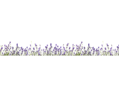 Küchenrückwand mySPOTTI splash Bildmotiv Lavendel 450x60 cm
