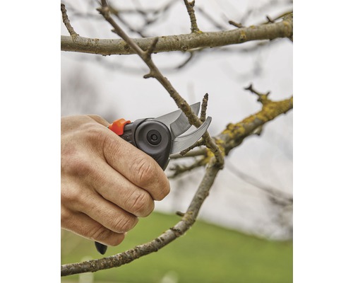 Eine Person schneidet einen Ast mit einer Gartenschere.