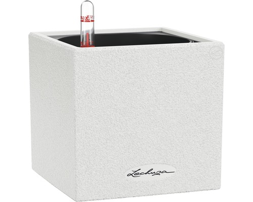 Bac à plantes Lechuza Canto Stone L/l/H 14 blanc quartz